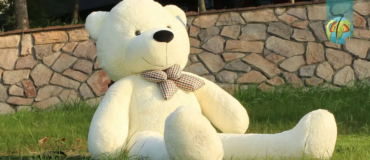 لحظات شاد و به یاد ماندنی با عروسک خرس ایرانی