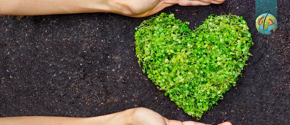 چگونه یک ولنتاین محیط‌زیستی داشته باشیم؟