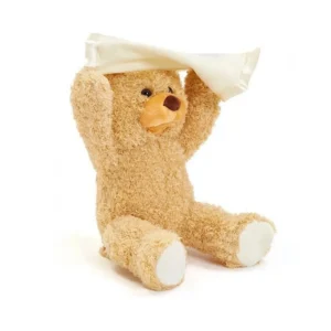 عروسک خرس دالی چراغ دار تنفسی موزیکال کدNO.19903